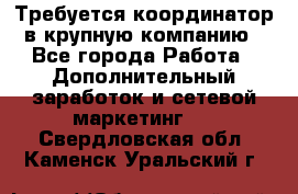 Требуется координатор в крупную компанию - Все города Работа » Дополнительный заработок и сетевой маркетинг   . Свердловская обл.,Каменск-Уральский г.